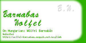 barnabas wolfel business card